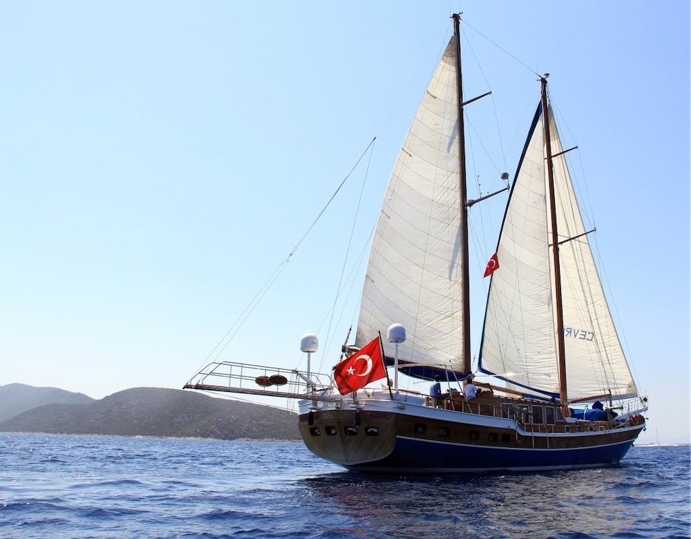 Tekne 82-(lux)